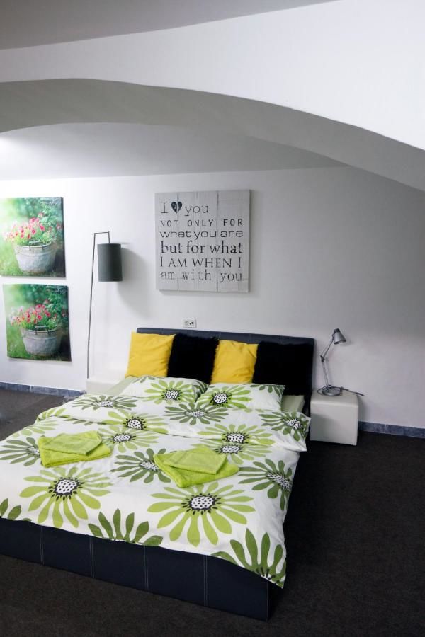 Гостевой дом Design Loft Тимишоара-13