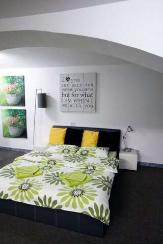 Гостевой дом Design Loft Тимишоара Люкс-3