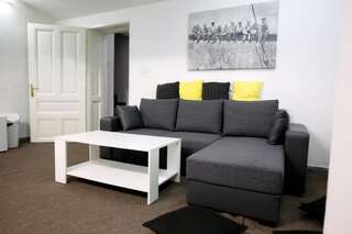 Гостевой дом Design Loft Тимишоара Люкс-8